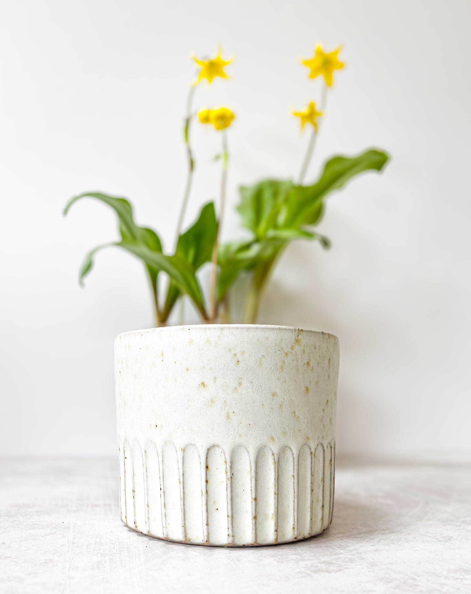 Handmade Ceramic Planter,Planter,Indoor outlets Ceramic Planter,Indoor Plant,Pottery Planter,Gift,Planters,Personal Gift,Ceramic Planter Pot,Pots