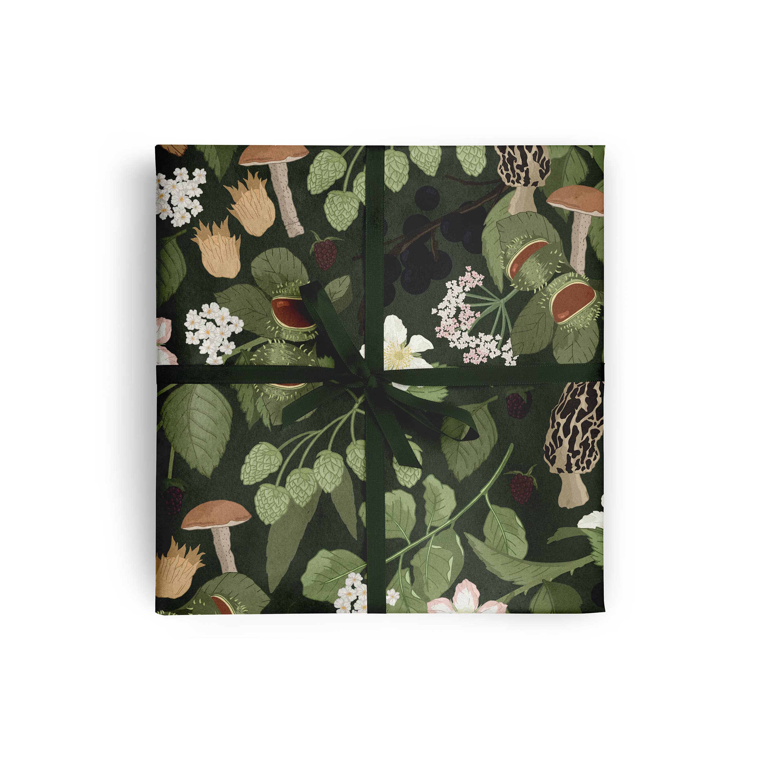 Gift Wrap - Autumn Winter Foraging Green Floral Gift Wrap Sheet by Wildwood Paper