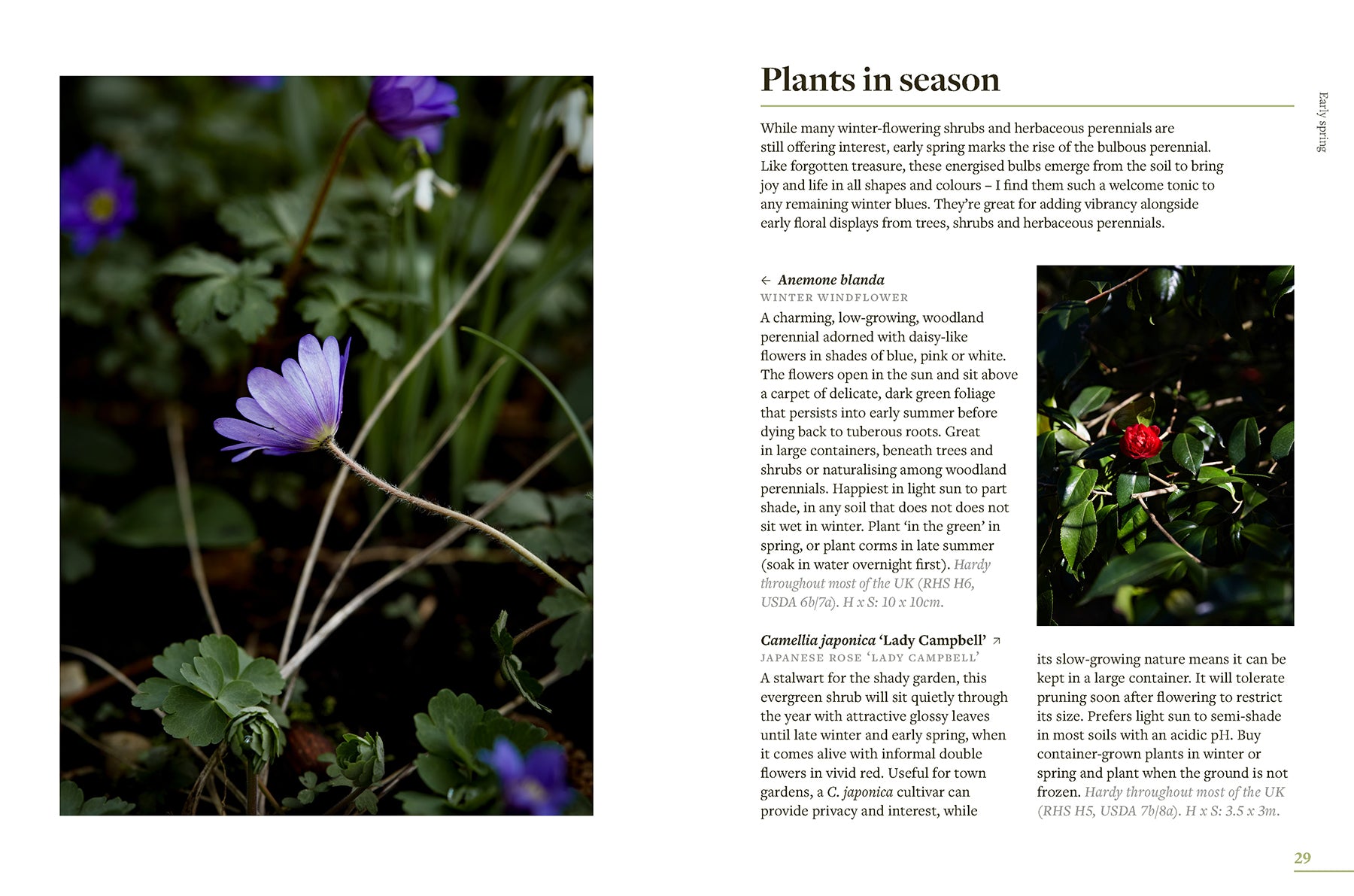 What To Sow, Grow and Do: A Seasonal Garden Guide - Essential Gardening Tips by Benjamin Pope