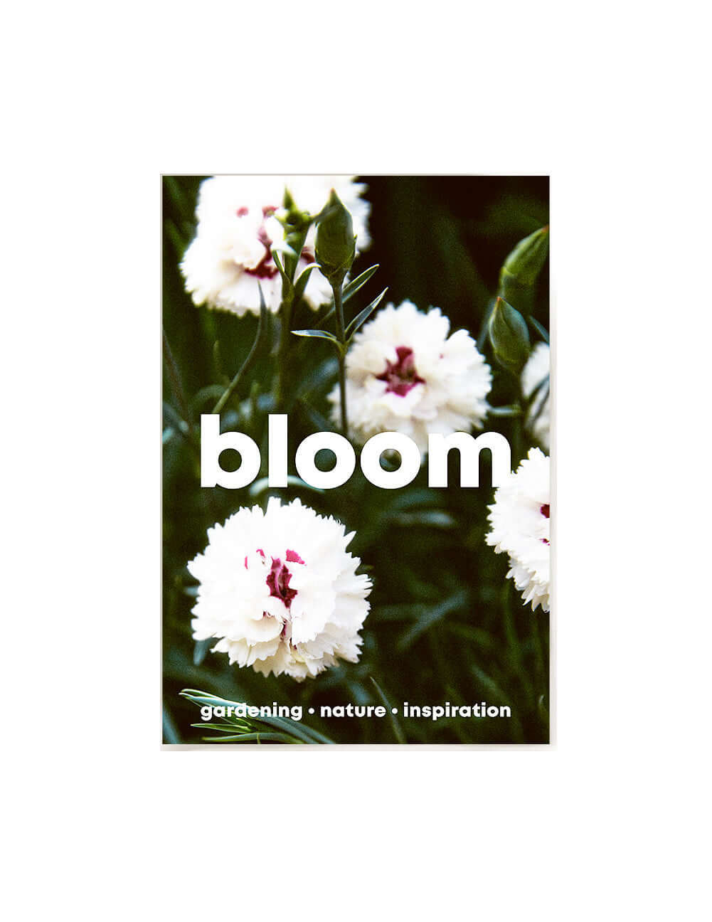 Bloom Seasonal Print Magazine - Spring/Summer Issue 14 | Nature & Gardening Stories