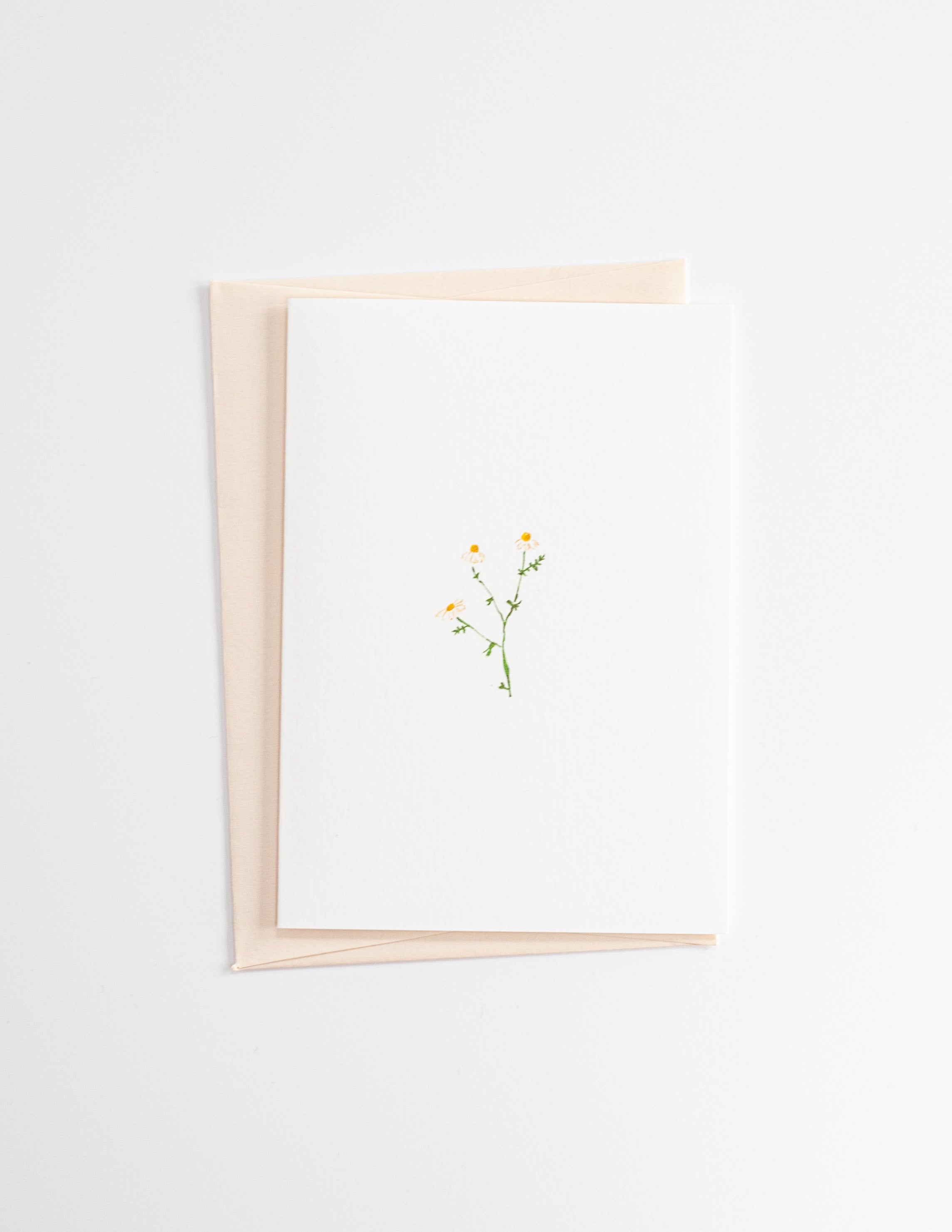 Little Chamomile. Illustrated Greetings Card