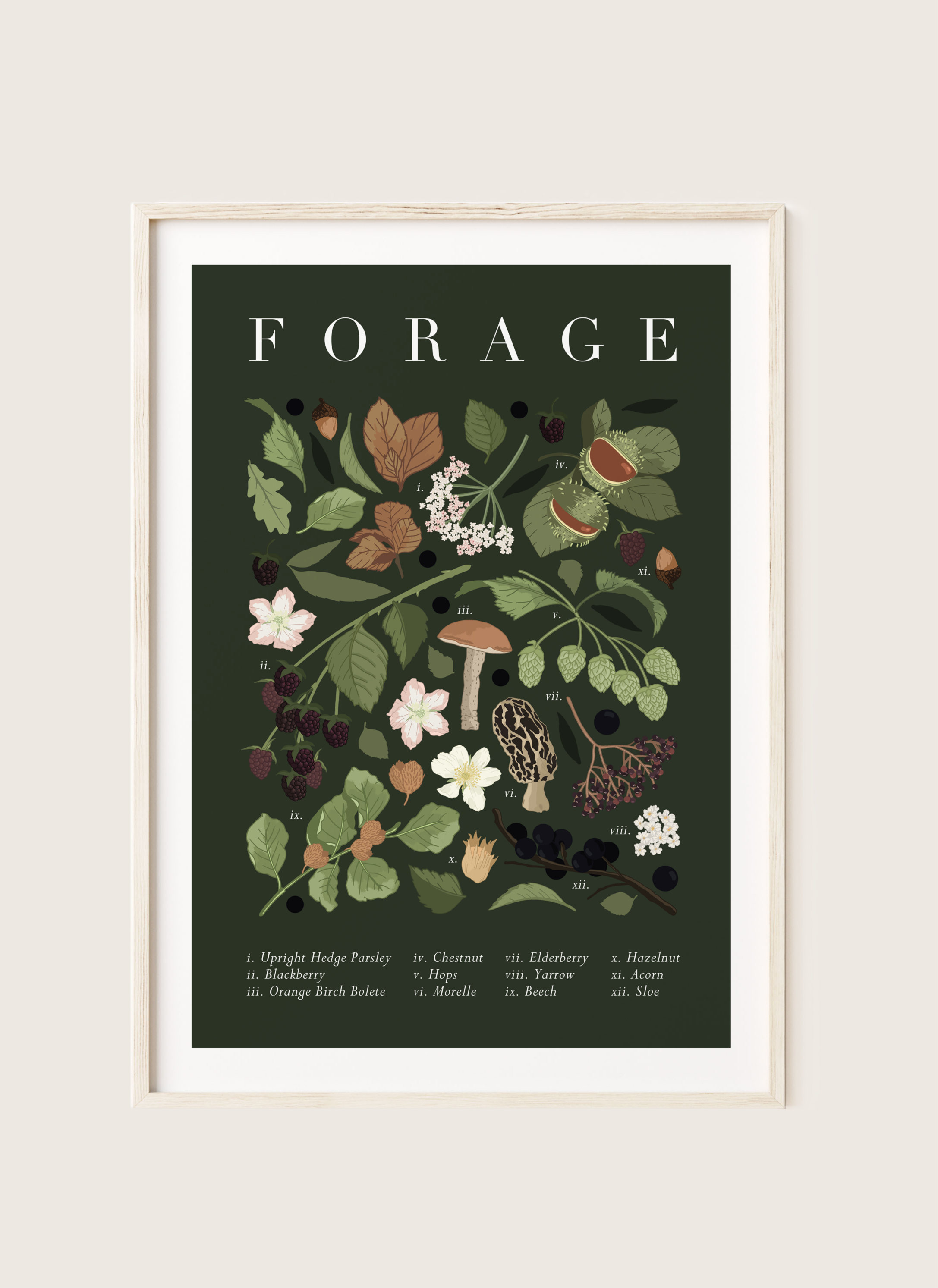 Forage Autumn/Winter art print by Wildwood Moth featuring hand-drawn leaves, nuts, and berries with labels, set against a dark forest green background. Available in A4 and A3.