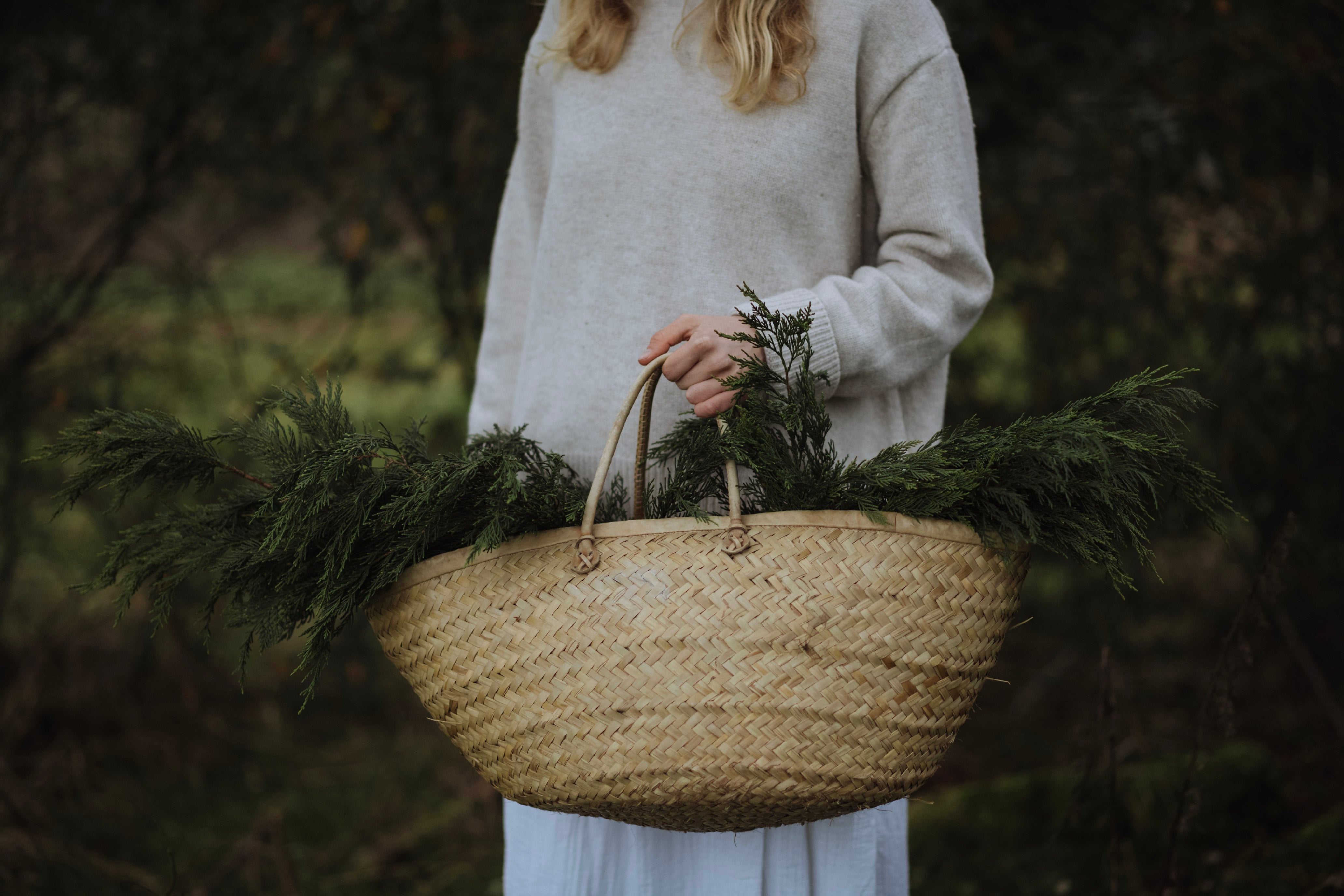 Winter Foliage in Basket